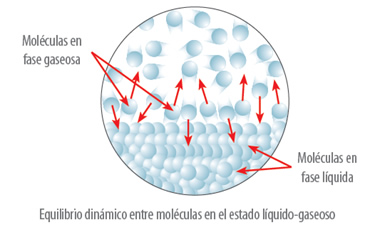 propiedades_coligativas_16.jpg (370×230)