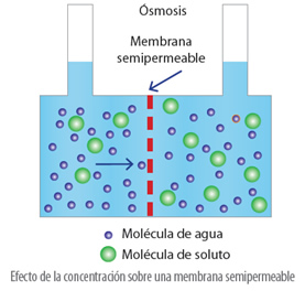 propiedades_coligativas_33.jpg (277×264)