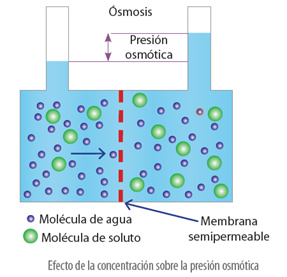 propiedades_coligativas_34.jpg (287×277)