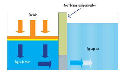 propiedades_coligativas_aplicaciones_7.jpg (428×263)