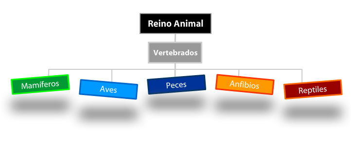 Vertebrados