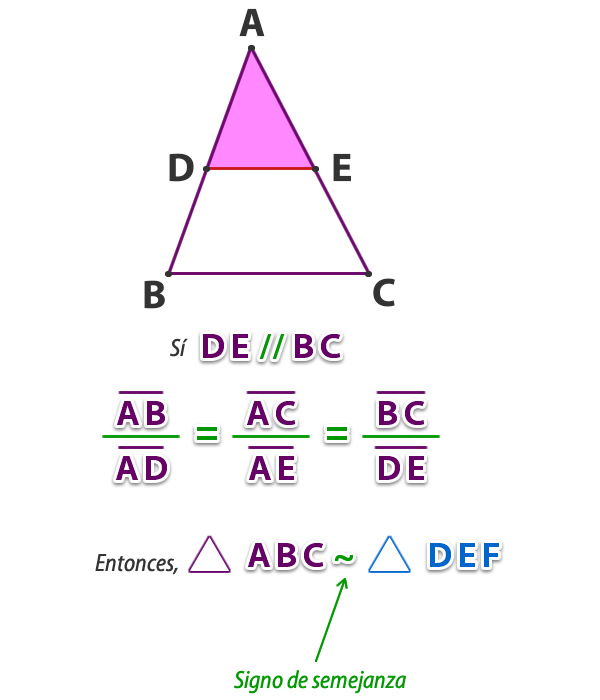 semejanza_triangulos_2.jpg (600×700)