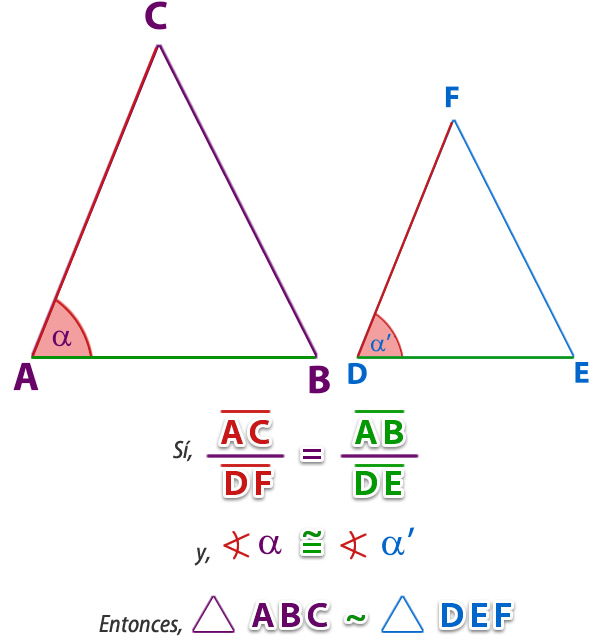 semejanza_triangulos_5.jpg (600×640)