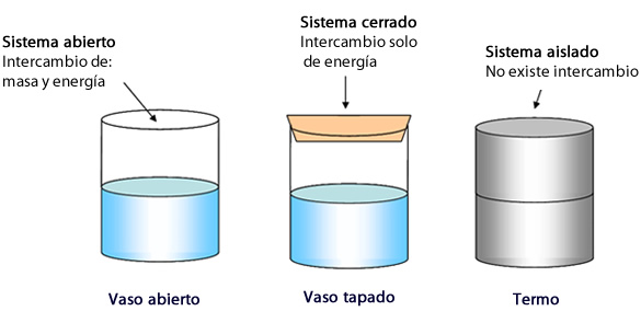 seres_vivos_sistemas_1.jpg (585×284)