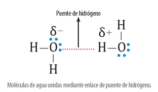 solubilidad_2.jpg (320×186)