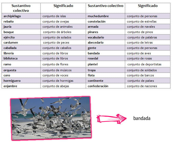 Sustantivos colectivos