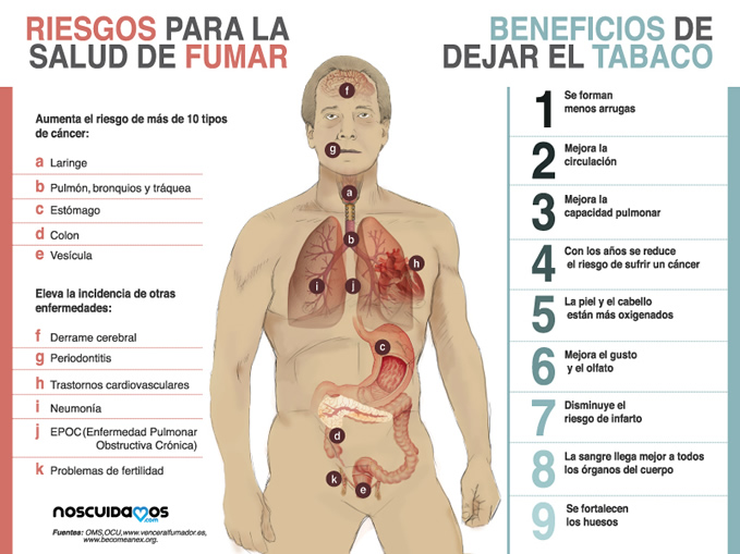 El Tabaco Y Sus Efectos Sobre La Salud