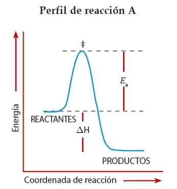 velocidad_reaccion_7.jpg (346×368)