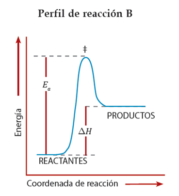 velocidad_reaccion_8.jpg (369×404)