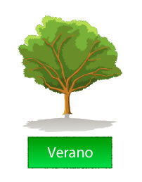 verano