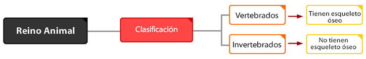 clasificación de los animales