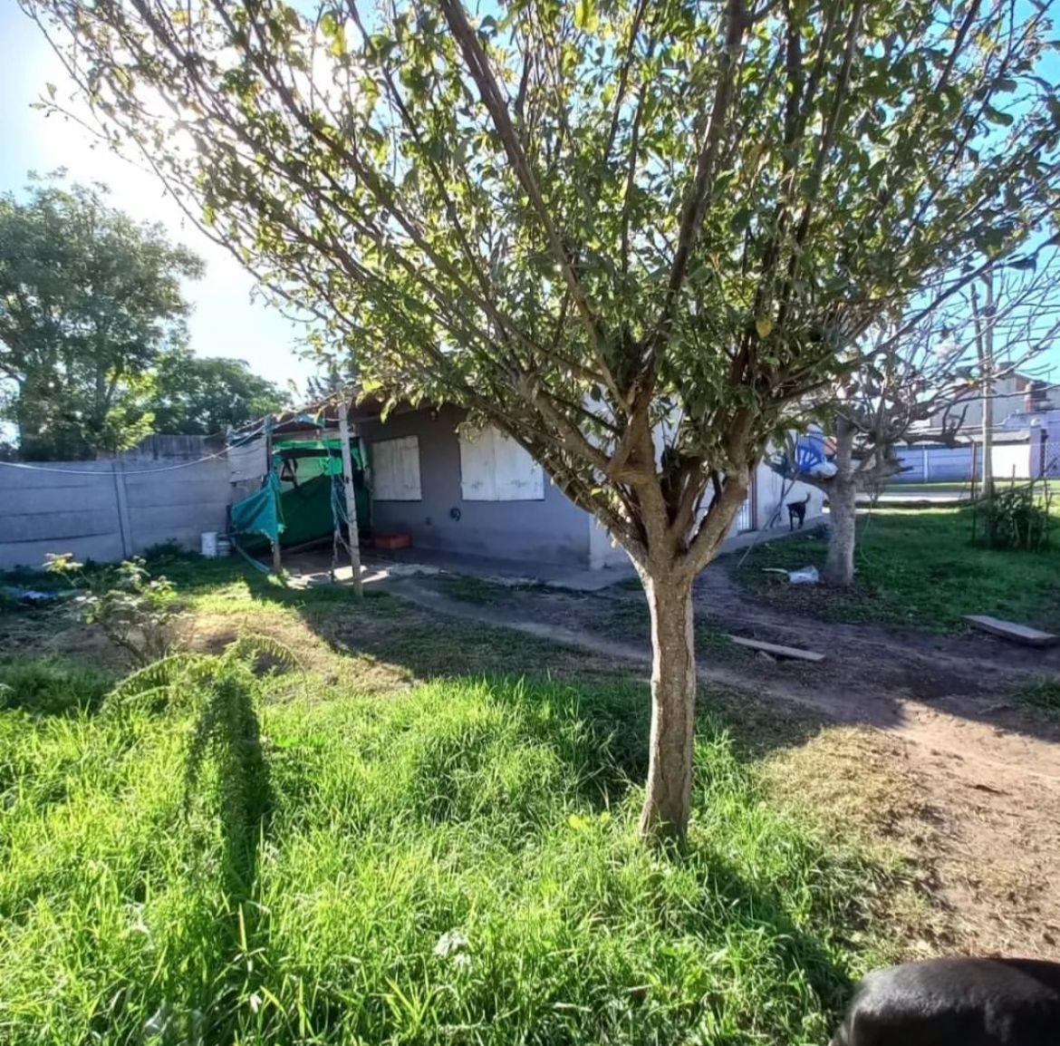 https://storage.googleapis.com/portales-prod-images/1969/property-images/2024/11/1d8d1619-05db-4878-b5d9-3ead1d91c63e.jpeg