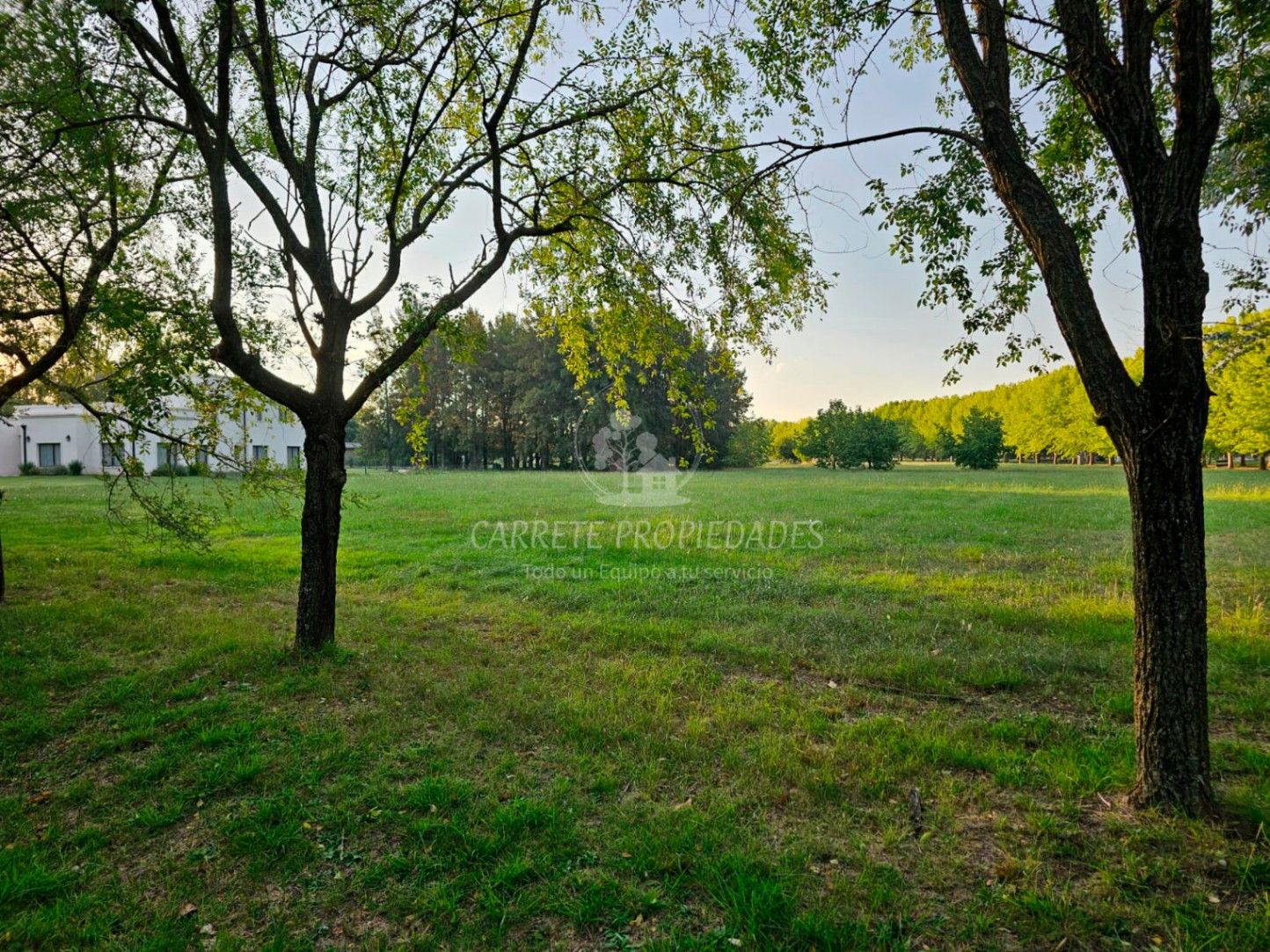 https://storage.googleapis.com/portales-prod-images/4435/property-images/2024/12/d50324e7-972e-468d-a430-6bde99fbb7db_wm.jpeg