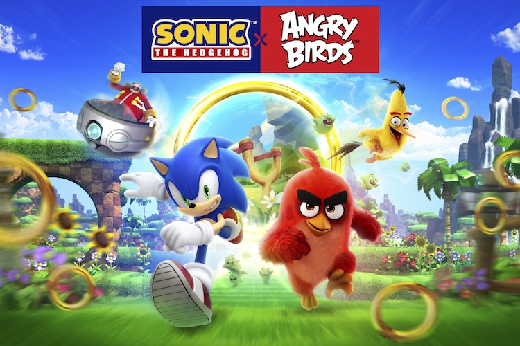 Sonic Angry Birds