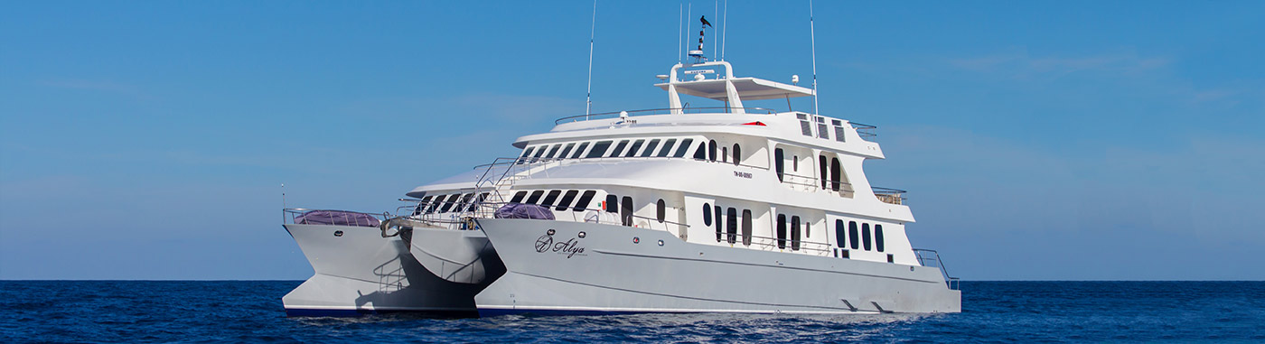 Galapagos Luxury Cruises and Yacht Charters