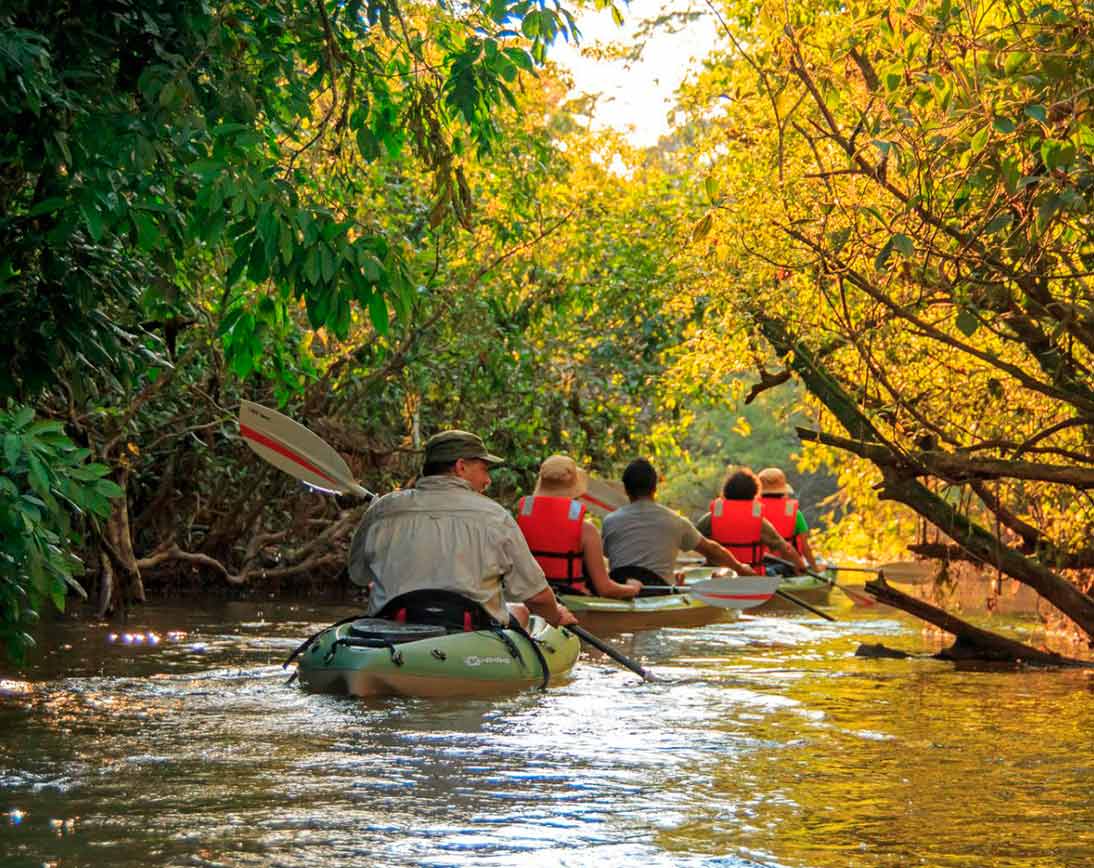 amazon river travel guide