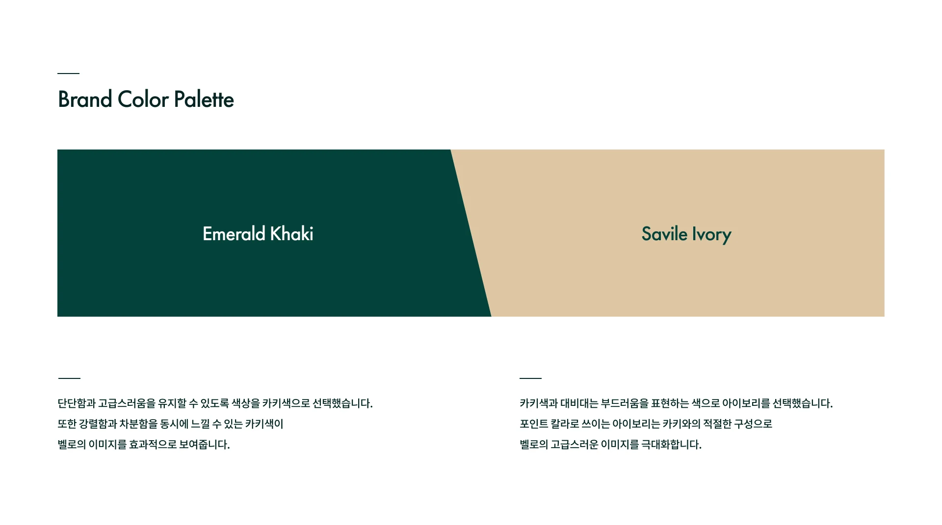 Brand Color Palette