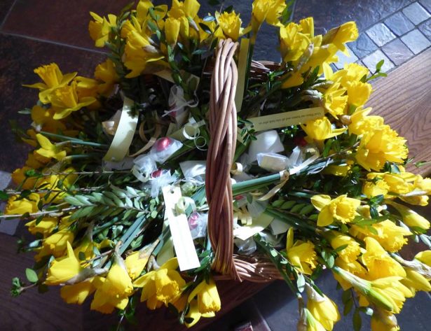 Mothering Sunday Daffodils