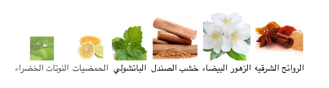 ماركيز 3