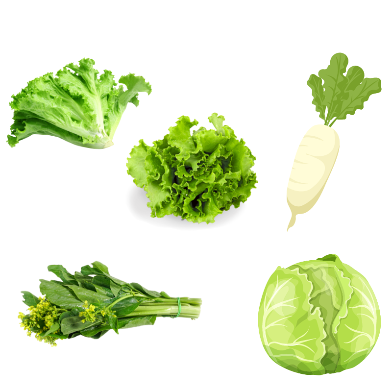 healthyexpress certified organic vegetable 餸您健康 蔬菜 網上買菜 蔬果網店
