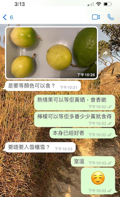 hkfyg customer feedback 青協有機農莊 客人反饋