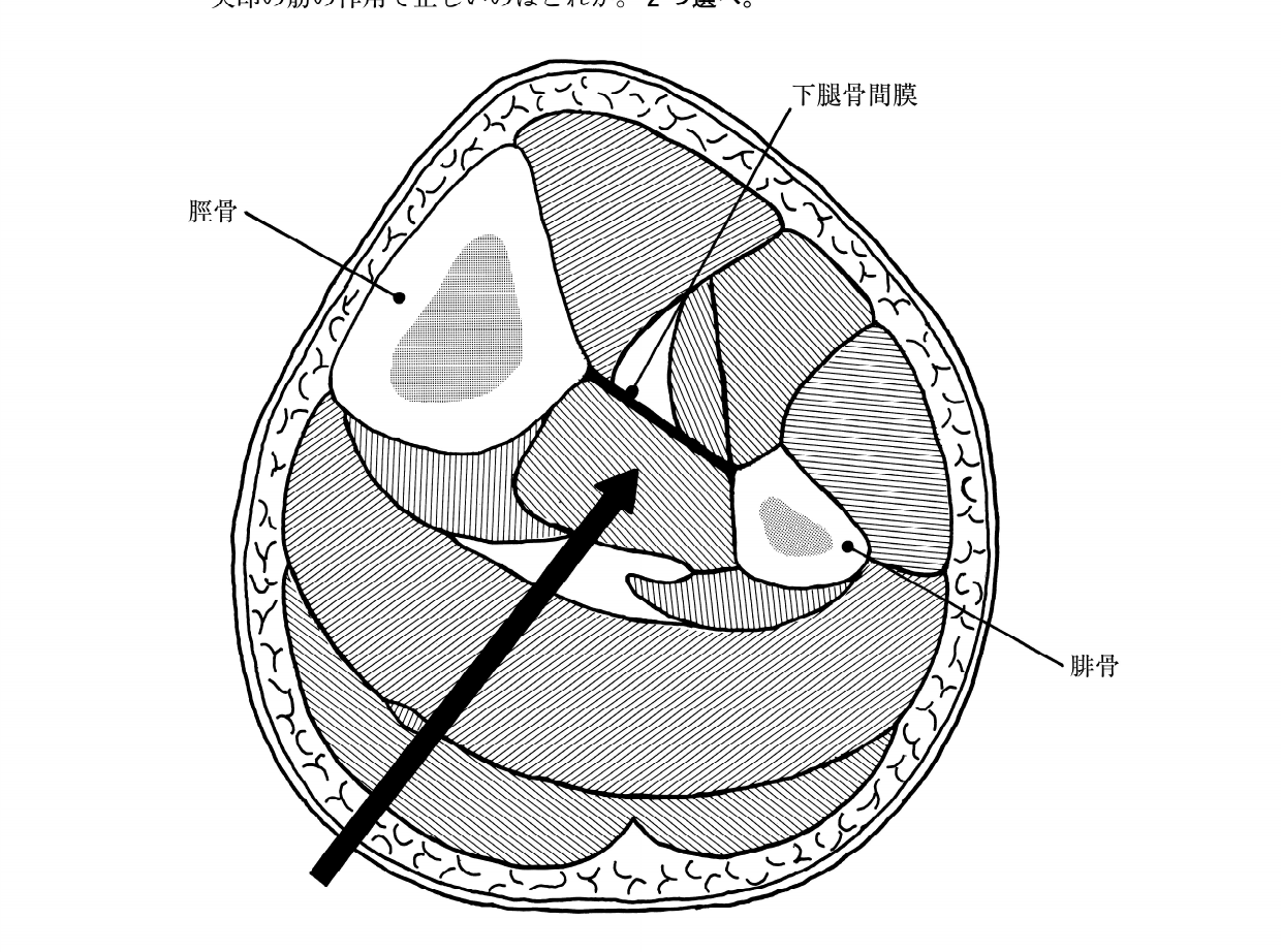2018年度 問172 の図 1
