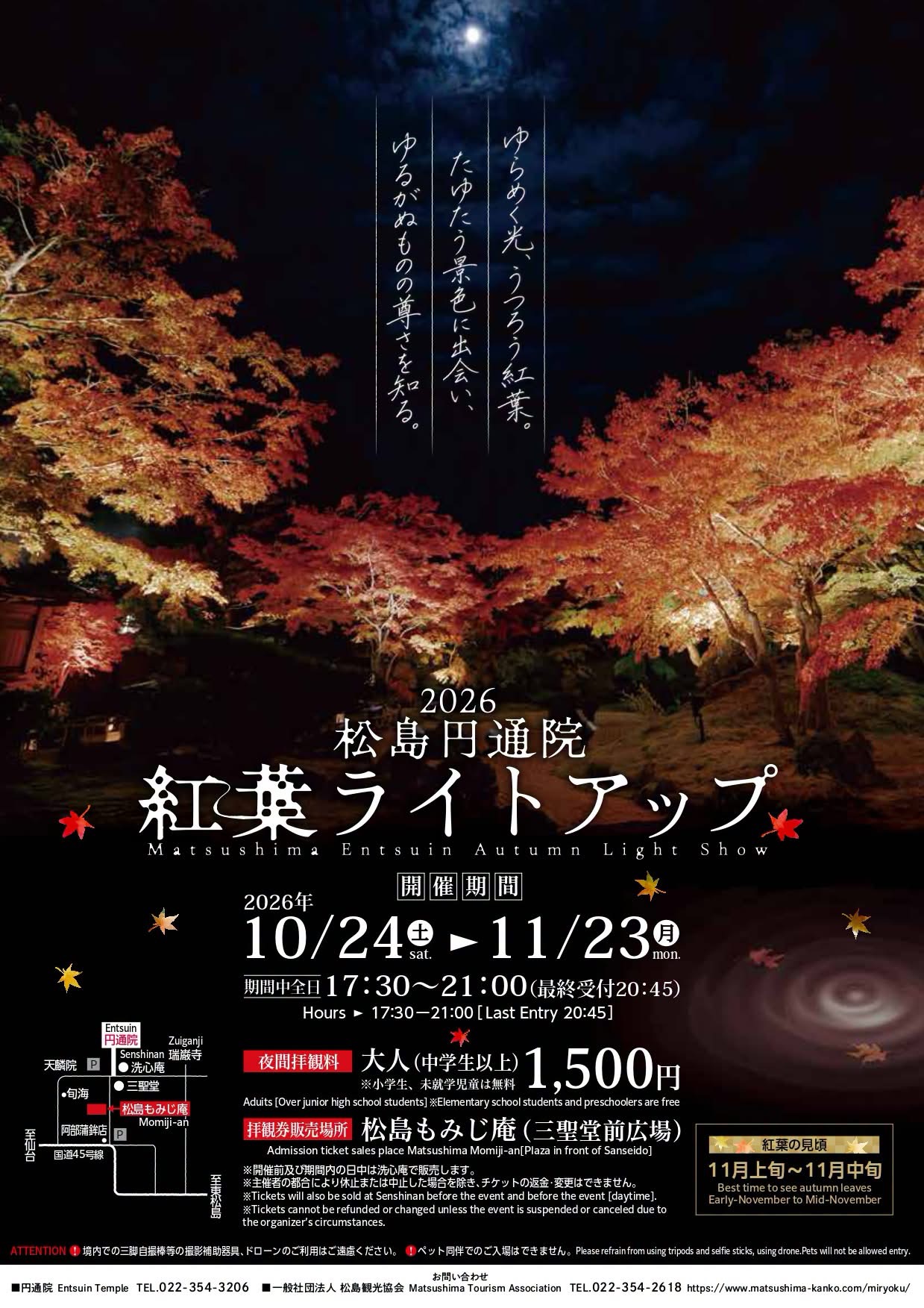 2026 松島円通院 紅葉ライトアップ