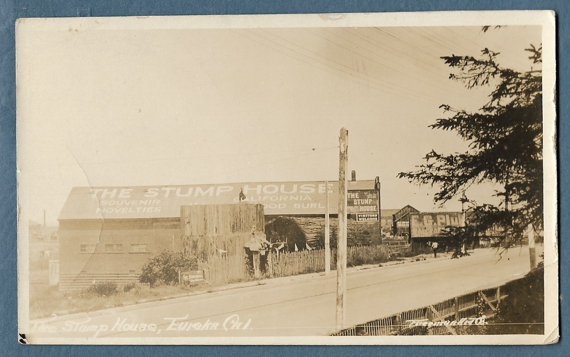 Eureka California The Stump House 1910 Real Photo Postcard
