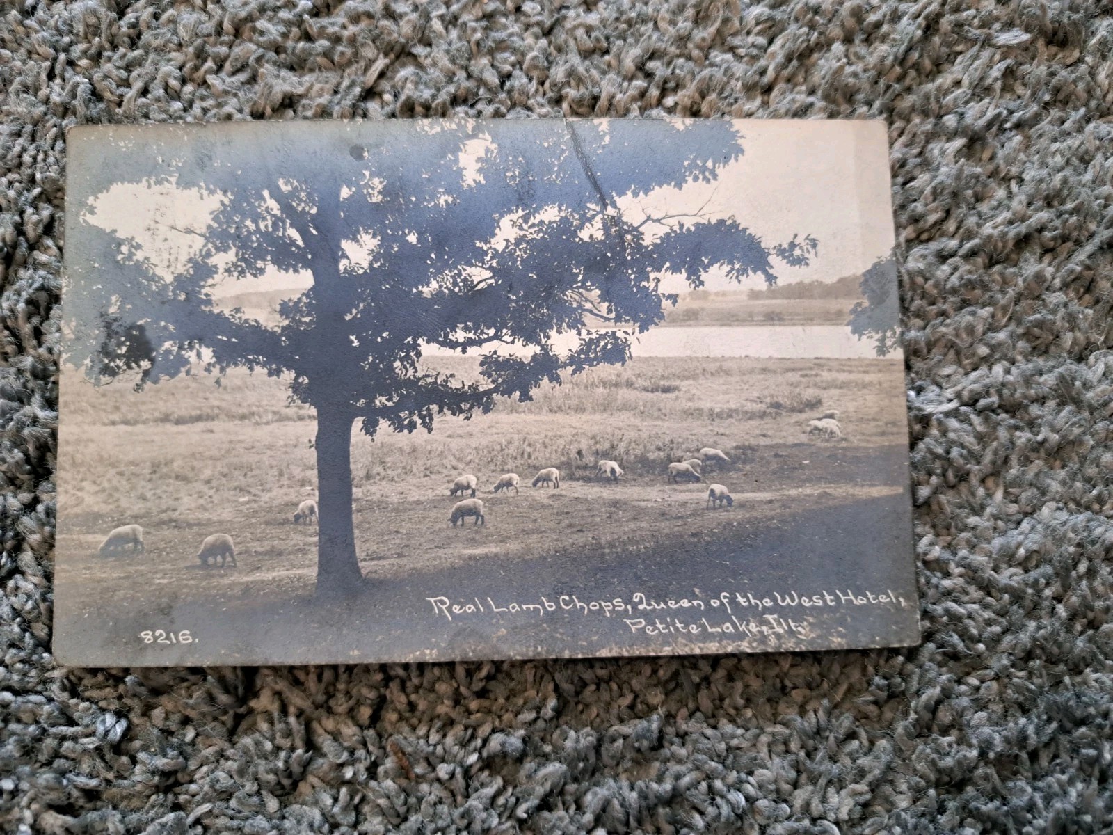 Antioch Illinois Petite Lake Queen of the West Hotel Lamb Chops Real Photo Postcard