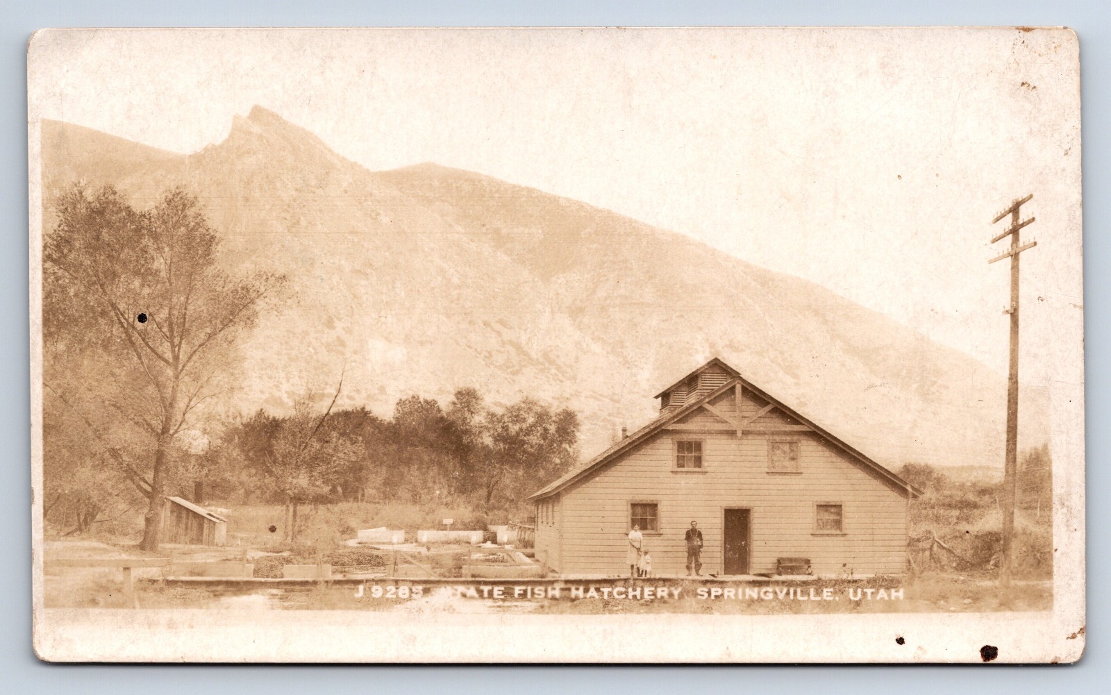 Springville Utah State Fish Hatchery Real Photo Postcard