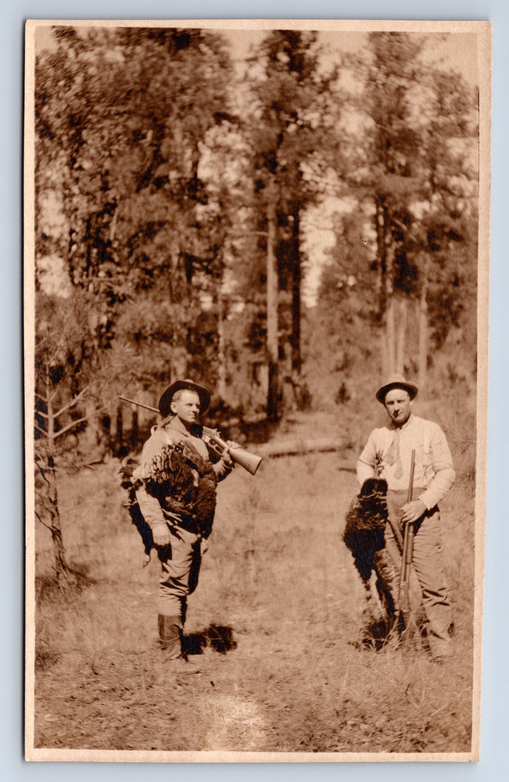 Hunting Camp Turkey And Deer Hunters With Guns Real Photo Postcard