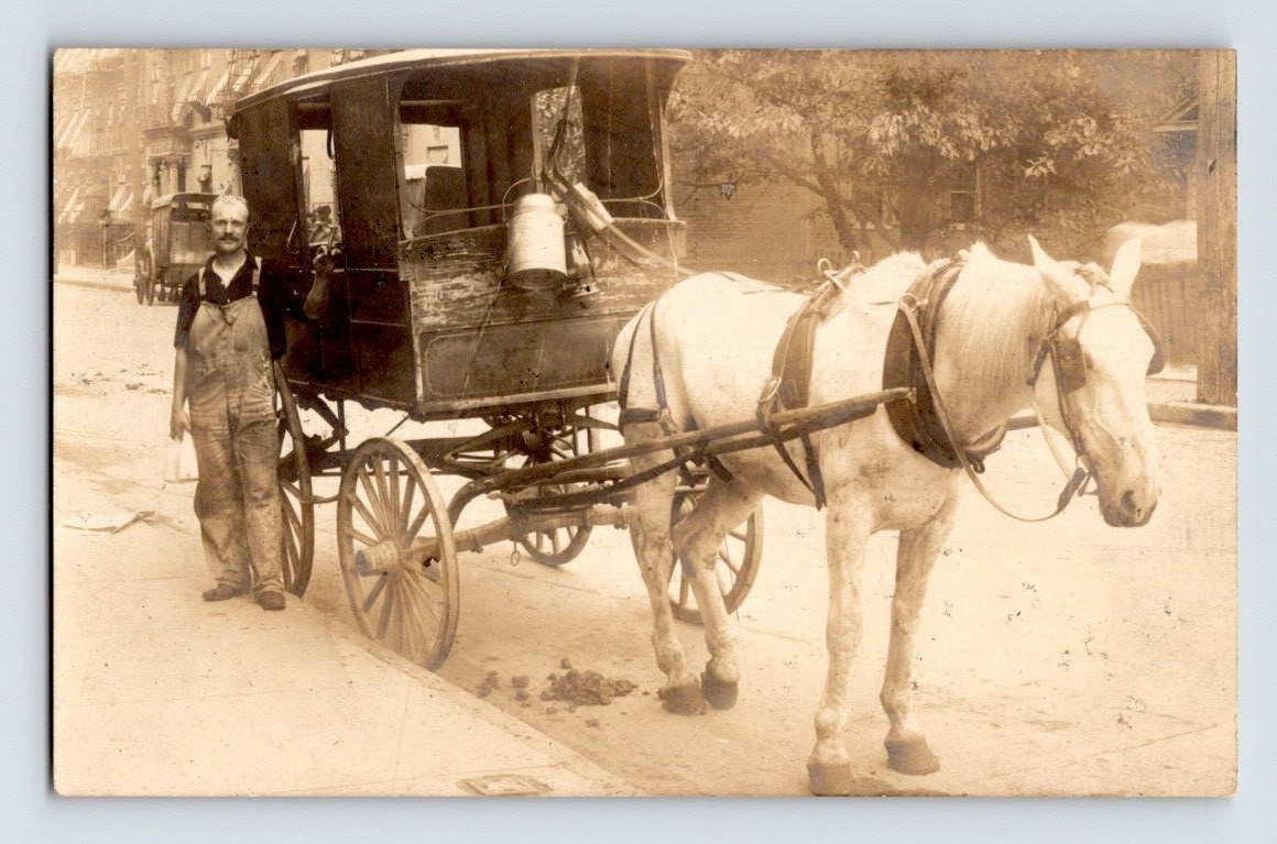 New York City Station M Horse Drawn Milk Delivery 1908 Real Photo Postcard