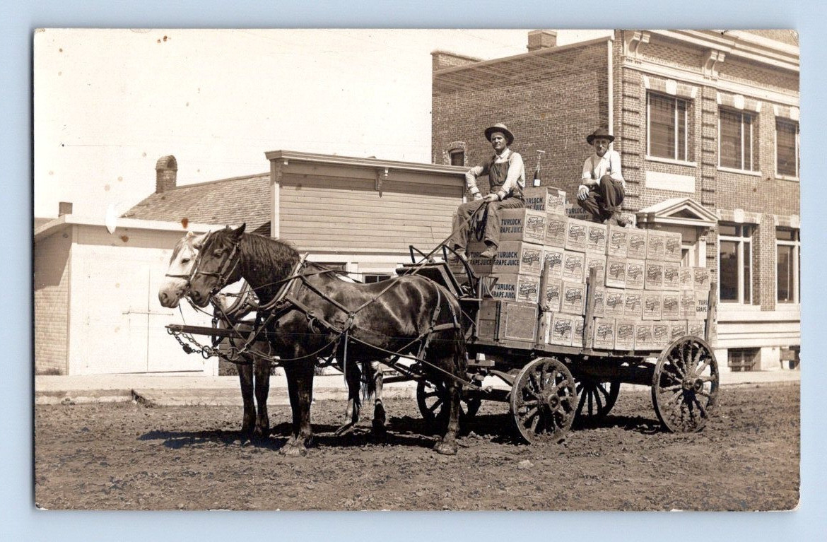 Wausa Nebraska Turlock Grape Juice Horse Drawn 1909 Real Photo Postcard