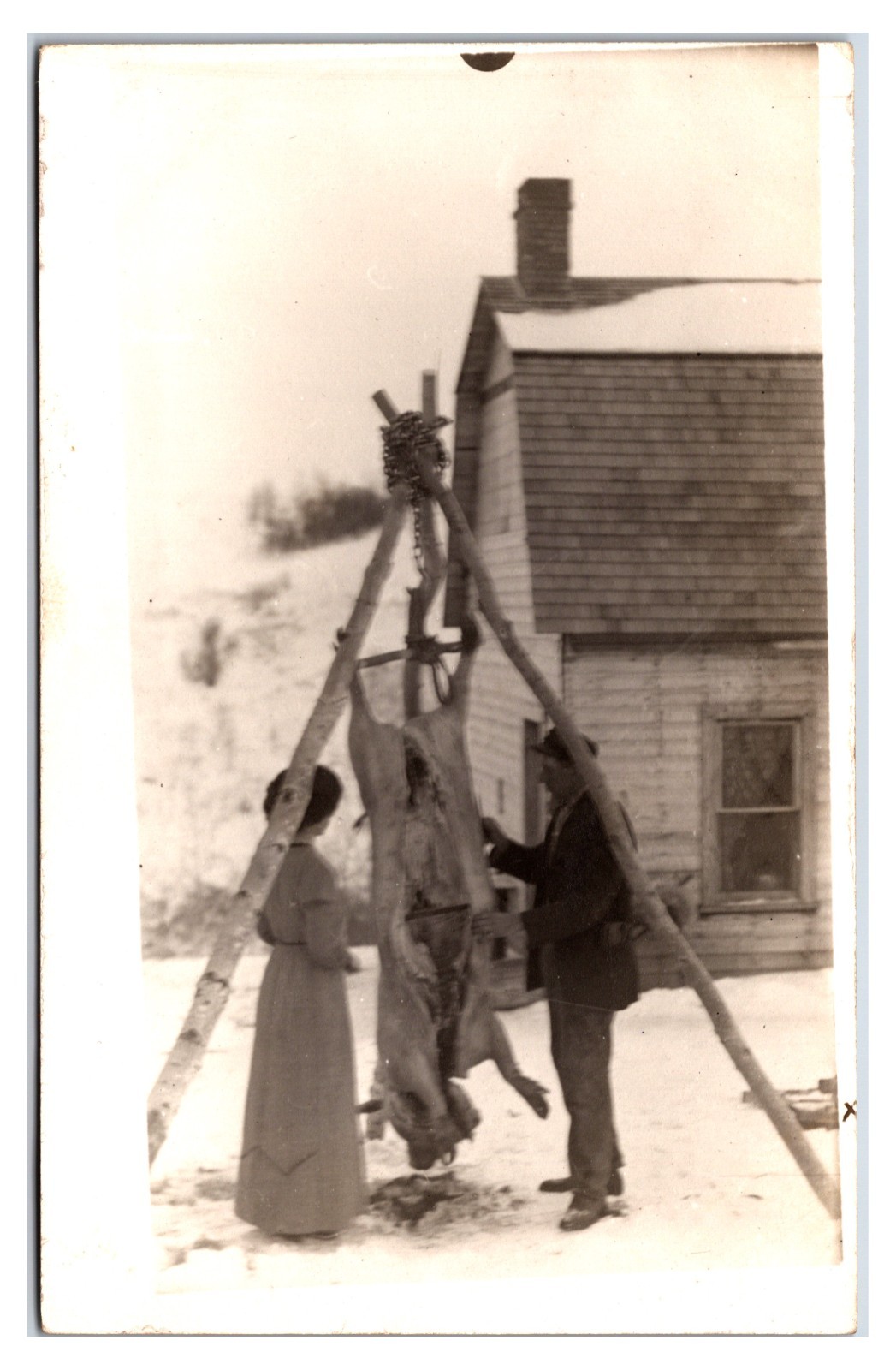 Pennsylvania Rural Primitive Farm Butchering Pig 1910s Real Photo Postcard