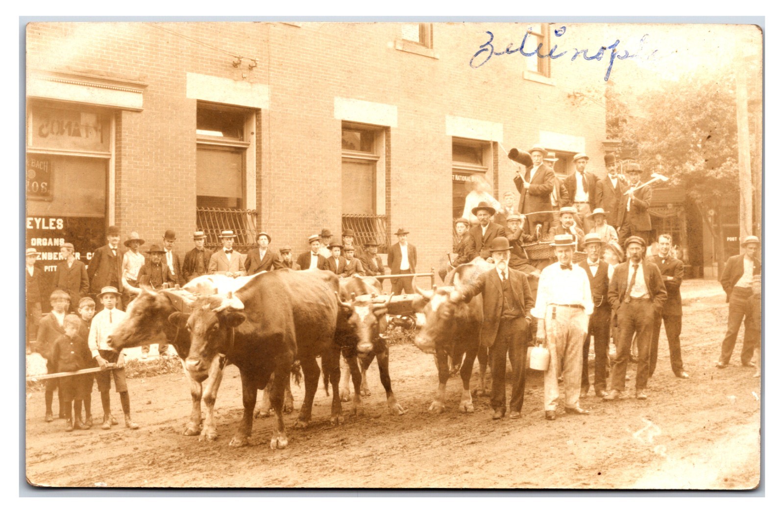 Zelienople Pennsylvania Main Street Parade Oxen Wagon 1907 Real Photo Postcard