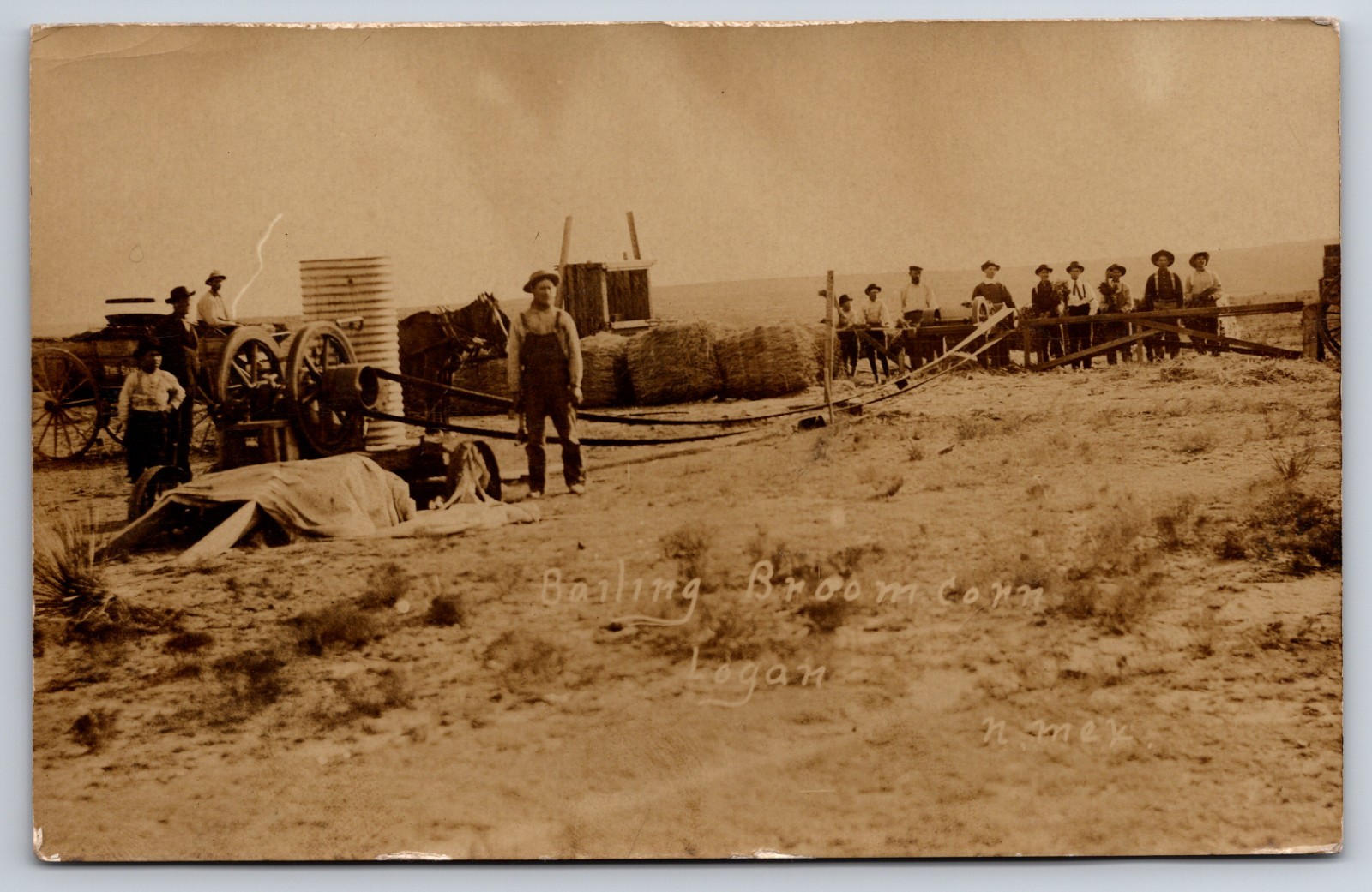 Logan New Mexico Bailing Broom Corn 1910 Real Photo Postcard