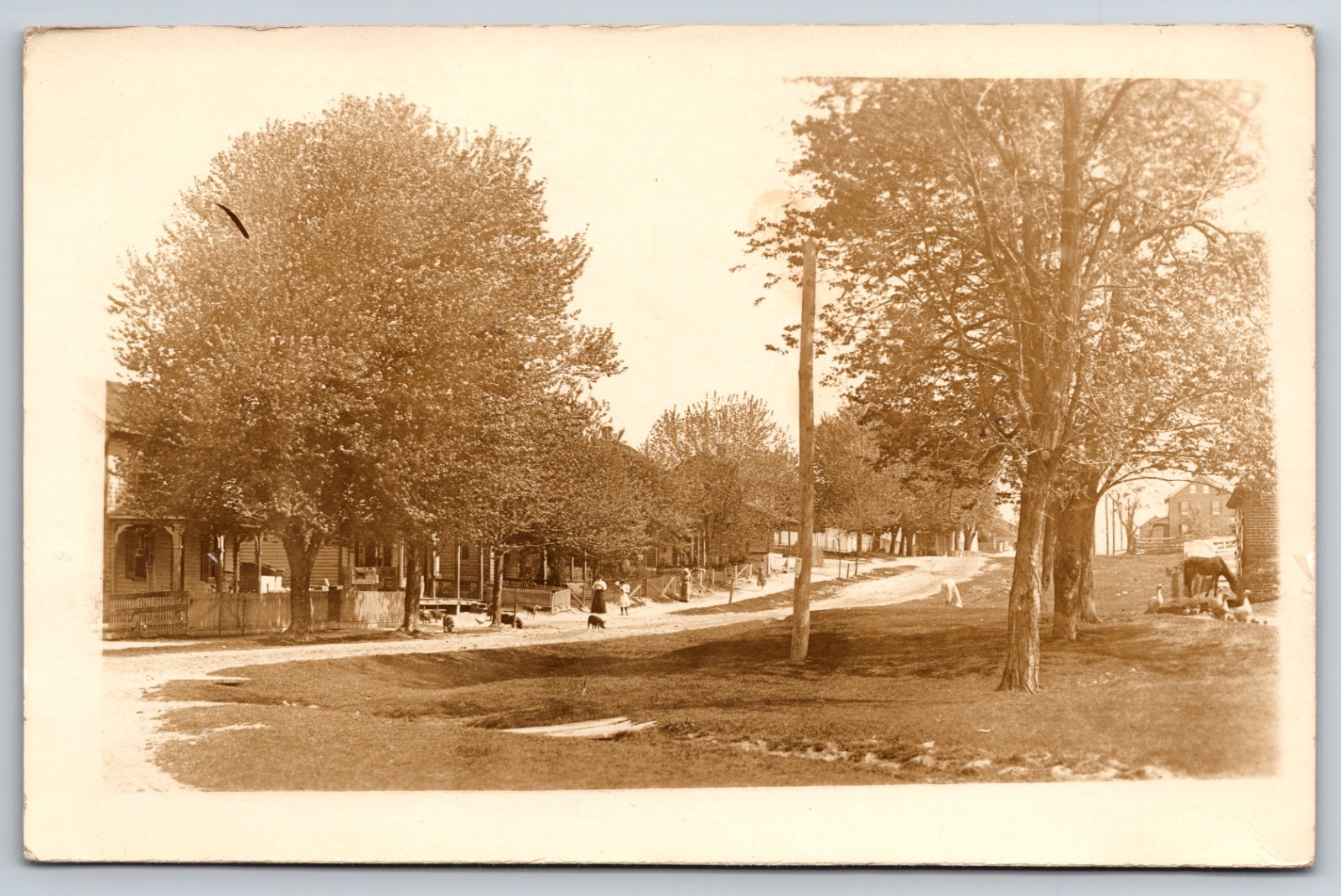 Charlestown Maryland Street View Cottages 1914 Real Photo Postcard