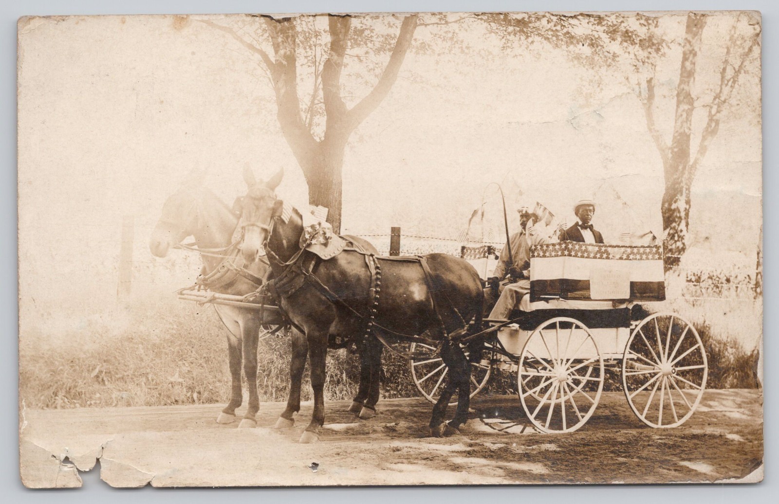 Doylestown Pennsylvania Patriotic Carriage Ride Craven & Company Real Photo Postcard