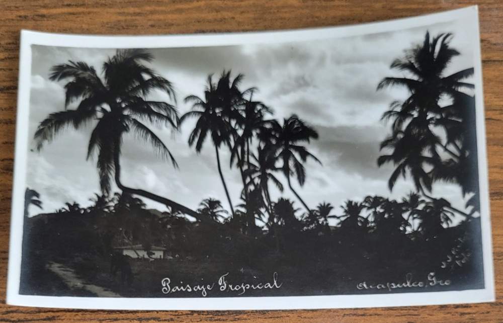 Acapulco Guerrero Mexico Pintos Baisaje Tropical View Real Photo Postcard