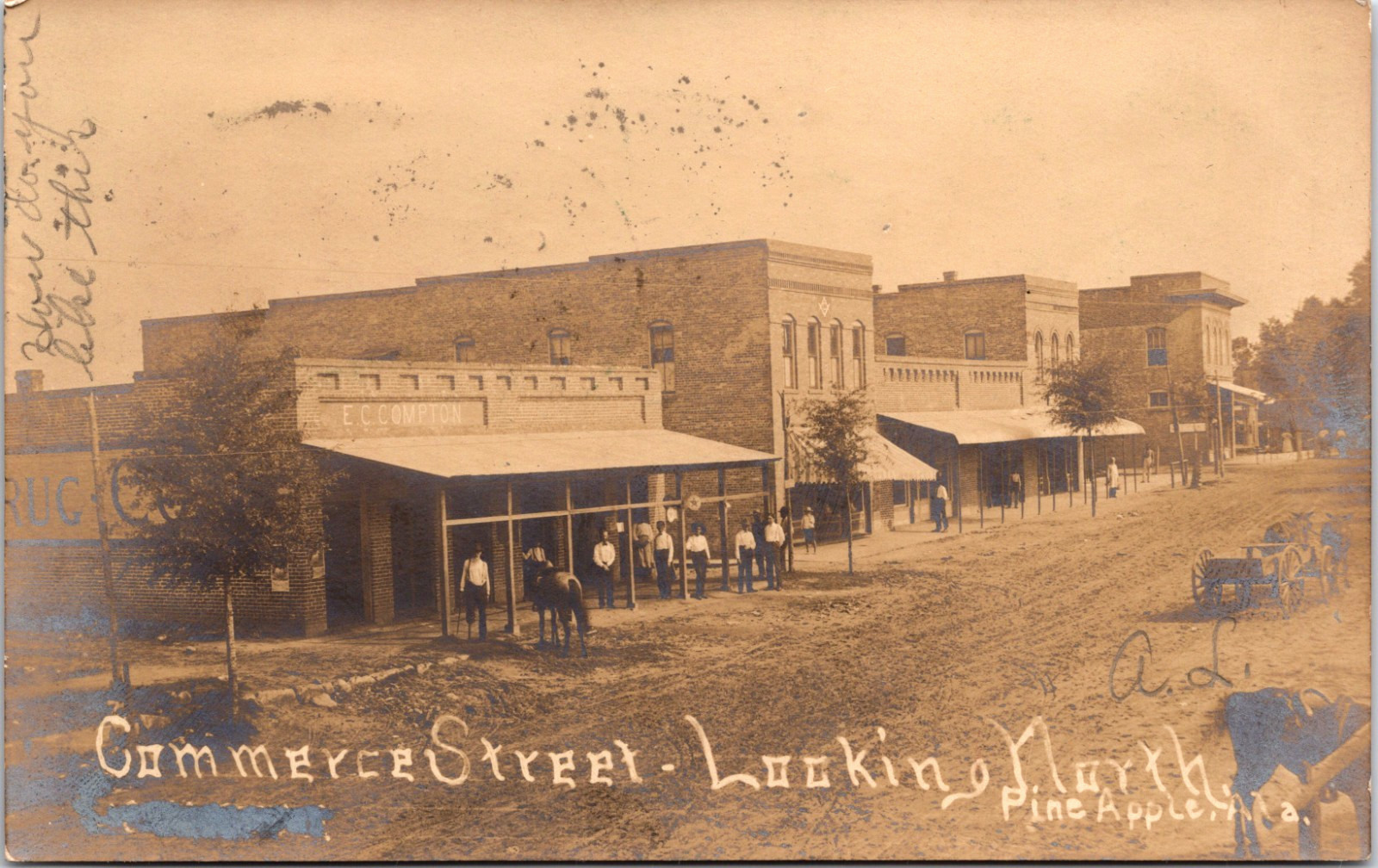 Pine Apple Alabama Commerce Street Looking North with Shops and Horses 1907 Real Photo Postcard