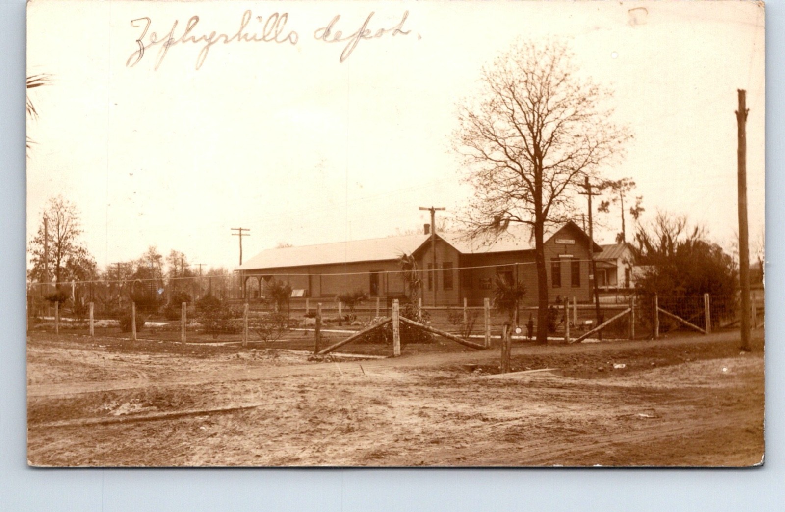 Zephyr Hills Florida Seab Air Line Railroad Depot 1912 Real Photo Postcard