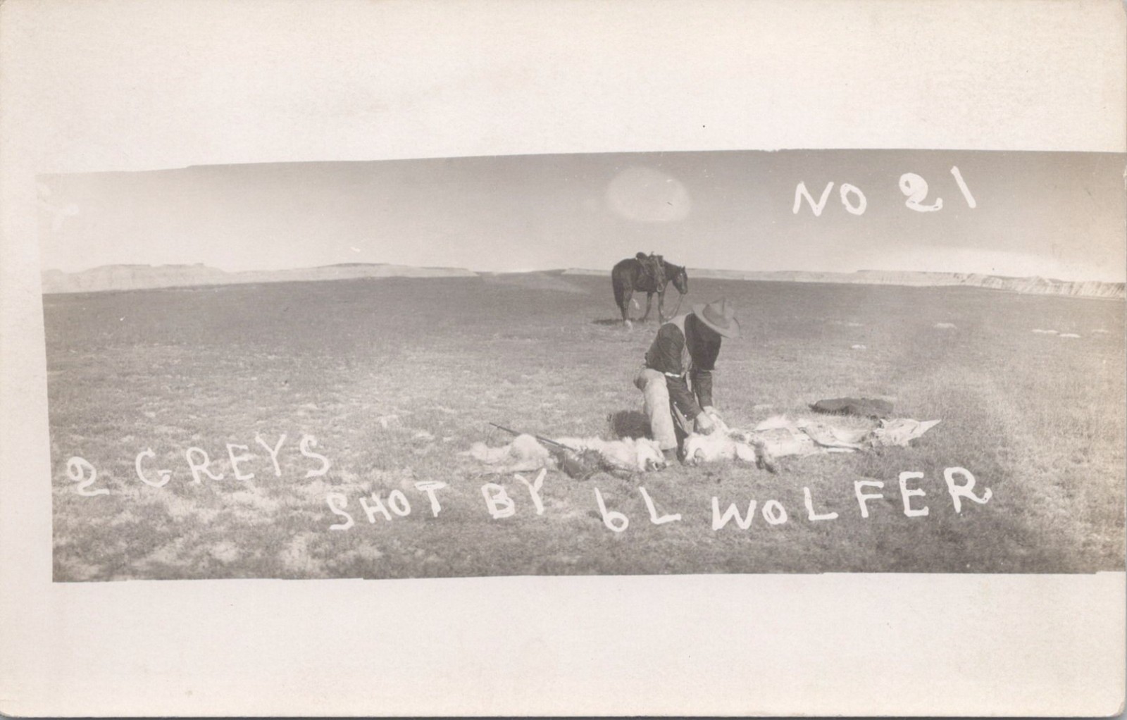 South Dakota Badlands 6L Ranch Wolfer Bud Dalrymple Skinning Two Greys 1910 Real Photo Postcard