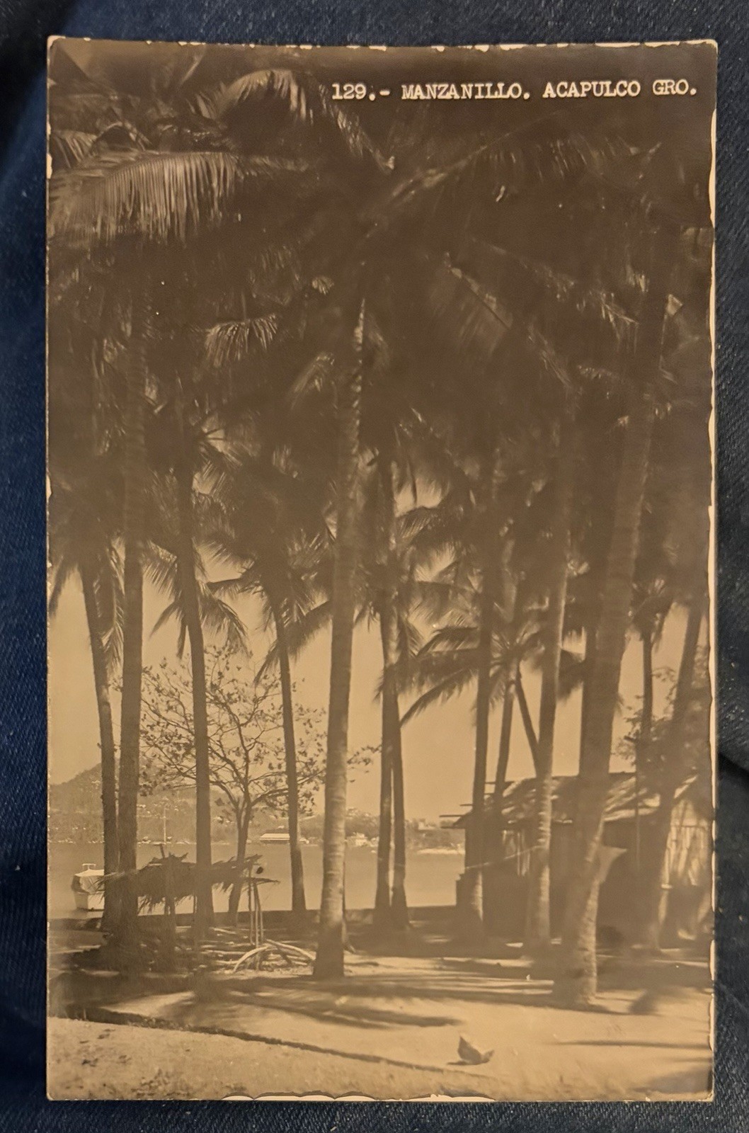 Manzanillo Acapulco Mexico Real Photo Postcard