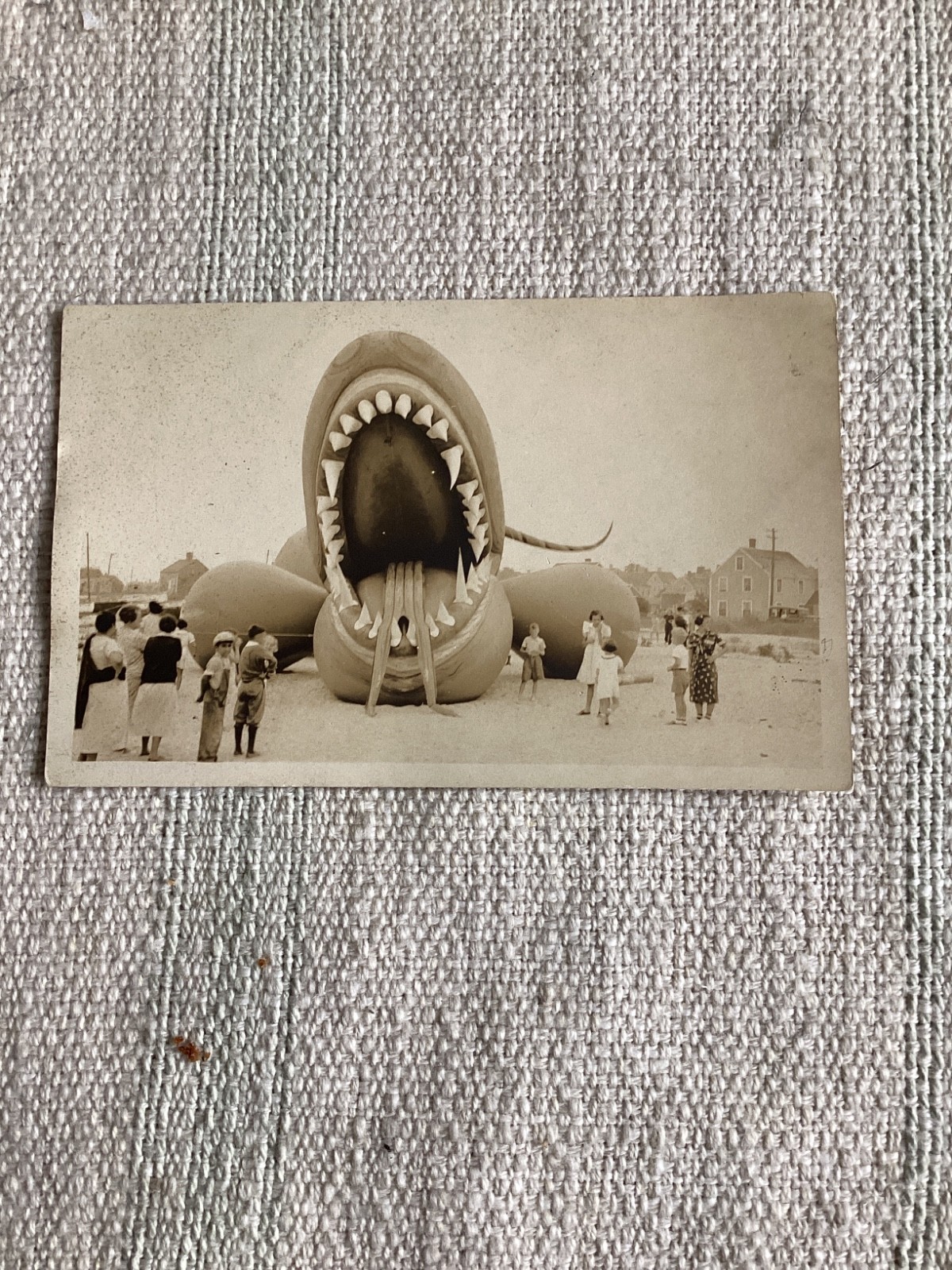 Nantucket Tony Sarg “Sea Monster” Serpent with Marshall Gardiner Real Photo Postcard
