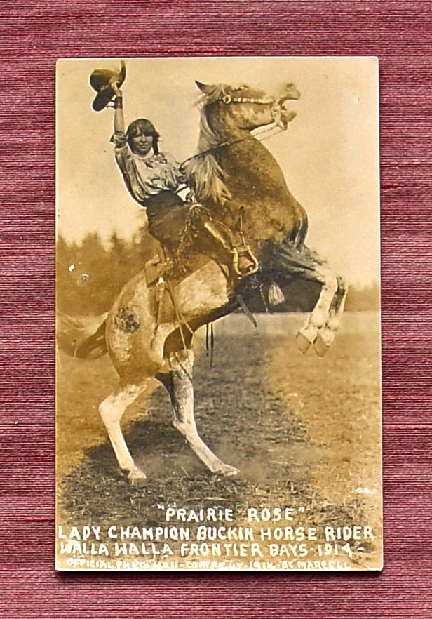 Cowgirl Prairie Rose World Champion Rodeo Performer 1914 Real Photo