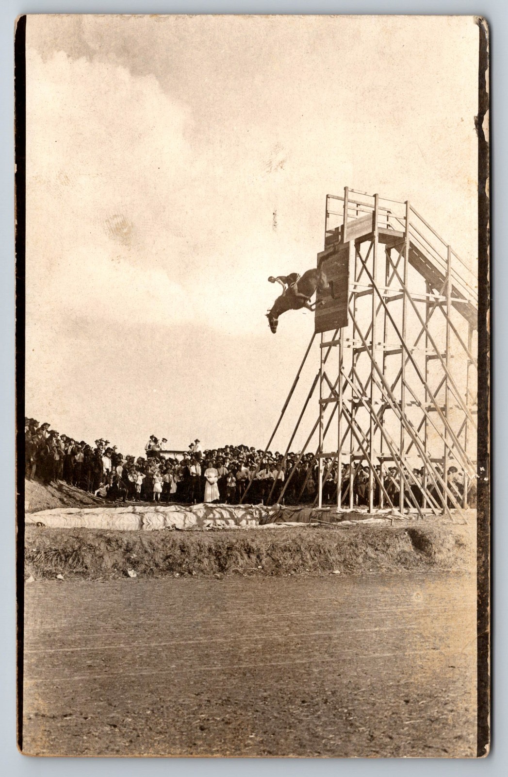 Diving Horse Women Real Photo Postcard