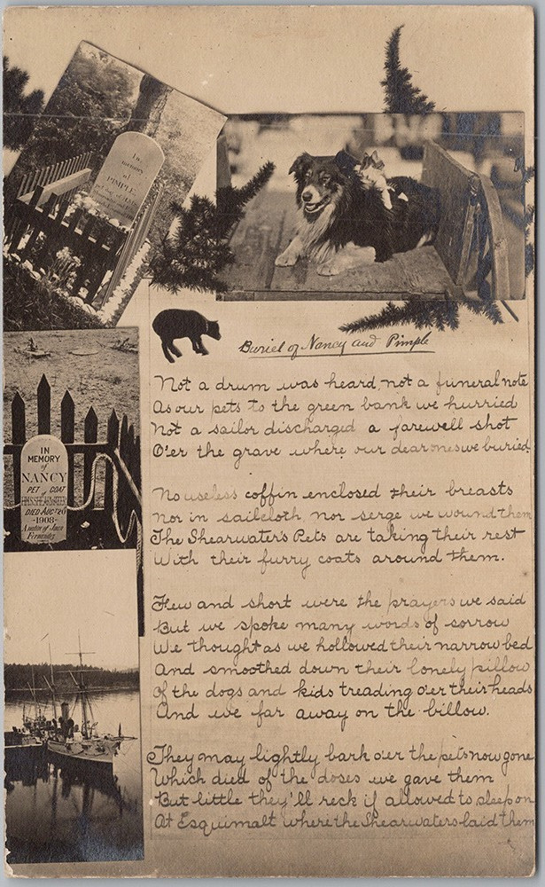 **Original title:** Victoria BC HMS Shearwater Navy Pets Dog Pimple Cat Nancy Ship RPPC Postcard H83

**Rewritten title:** Victoria British Columbia HMS Shearwater Navy Ship With Pets Dog Pimple And Cat Nancy Real Photo Postcard