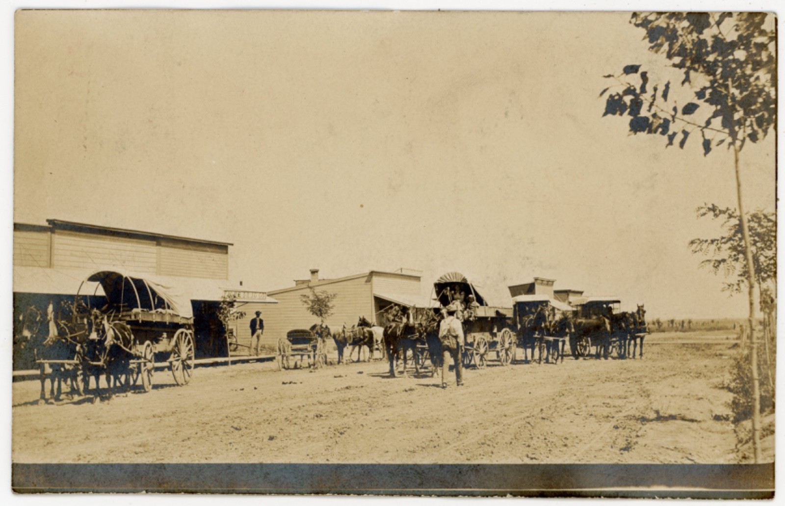 Filer Idaho Oregon Trail Emigrant Wagon Train 1908 Real Photo Postcard