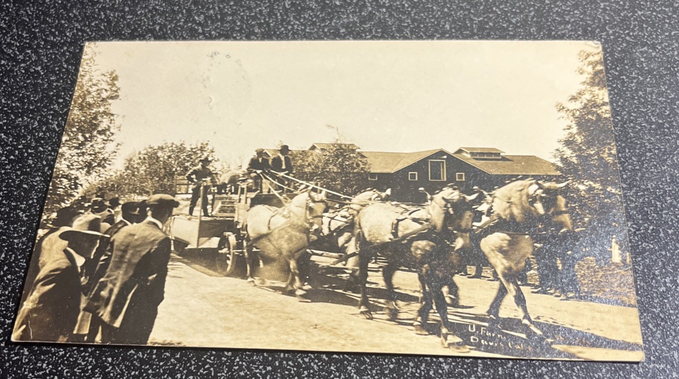 Davis California Street Scene With Horse Drawn Cart Parade Float 1920 Real Photo Postcard