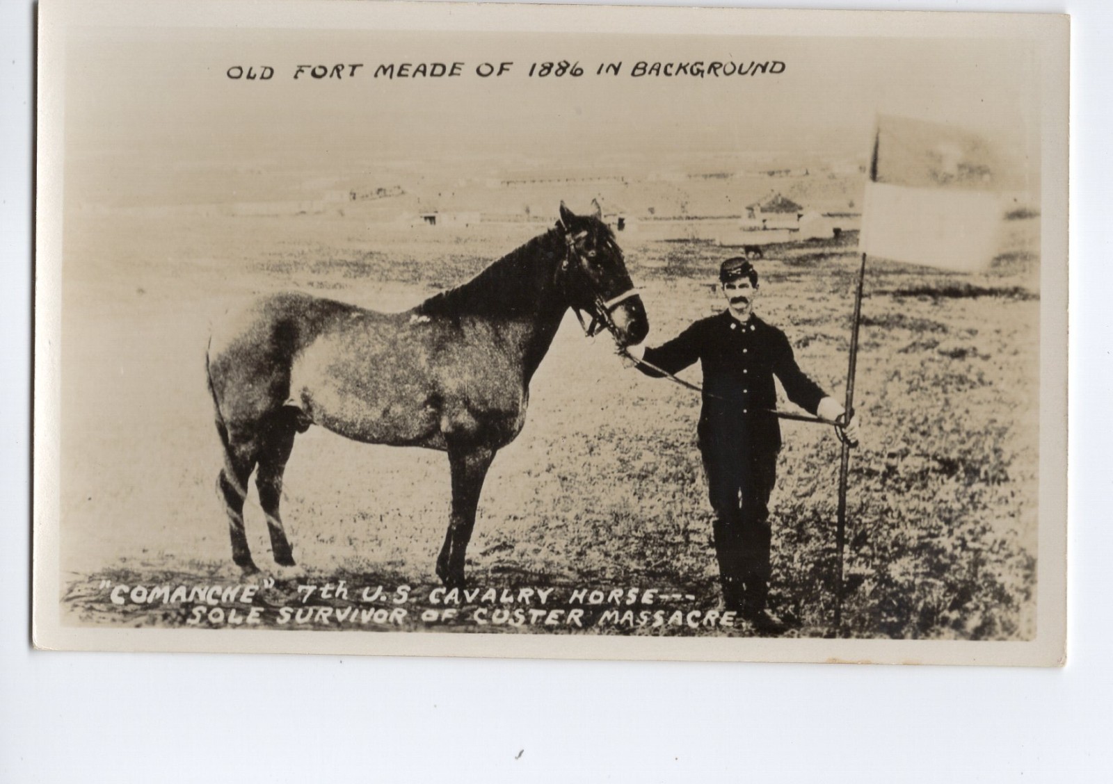 Fort Meade Custer Massacre Cavalry Horse Commanche Real Photo Postcard